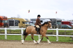 SBM_007013