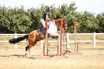 SBM_000274
