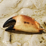 Crab Claw