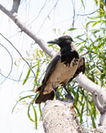20150611-8E0A9402