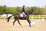 SBM_008361
