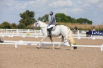 SBM_03945