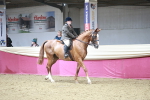 SBM_08731