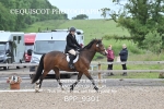 BPP_9301