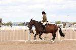 SBM_15507
