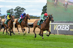 070826-Race 5-Master Vintner-1981