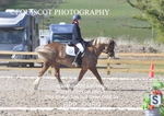 BPP_9959
