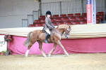 SBM_06989