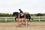 SBM_006960