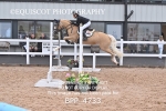 BPP_4733