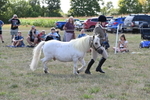 WJ6_4922