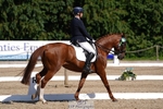 Cls 3 Advanced Medium BRONZE portfolio