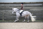 SBM_007236