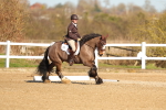 SBM_003473