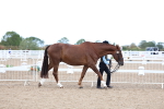 SBM_04994