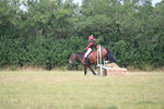 WJ6_1531