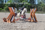 BPP_8981