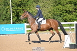 Cls 8 Snr British Novice and 90cm Open portfolio