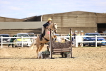 SBM_003614