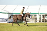 SBM_20180