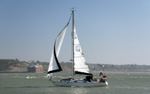 170409 BRIGHT EYES GBR732 1Y3A1256