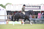 SBM_11025