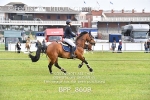 BPP_8609
