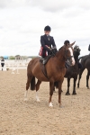 Class 22 - SSA - Equitation portfolio