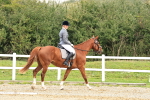 SBM_001354