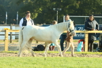 SBM_57366