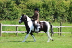 3E7A8691