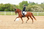 SBM_006778