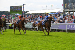 250823-Race 1-Marhaba The Champ-0131