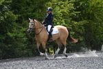 WJ5_0588