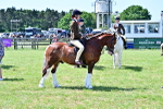 SBM_15288