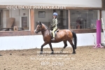 BPP_0262