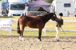 Class 203 - Young Handler 11 to 16 years portfolio