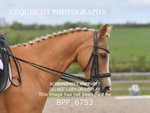 BPP_6753