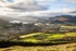 Keswick viewed from Latrigg