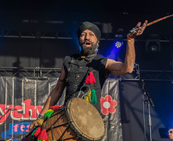 Wychwood Festival 2017 portfolio