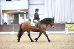SBM_004210