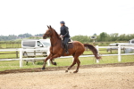 SBM_007941
