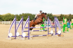 SBM_003535