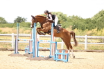 SBM_000977