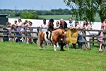 SBM_05805