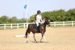 SBM_008584