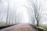 No Colour Road