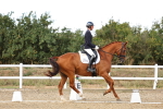 SBM_007534