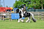 SBM_11694