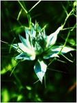MU_009